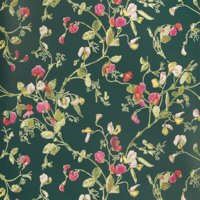 Cole & Son Sweet Pea