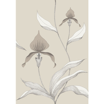 Cole & Son Orchid