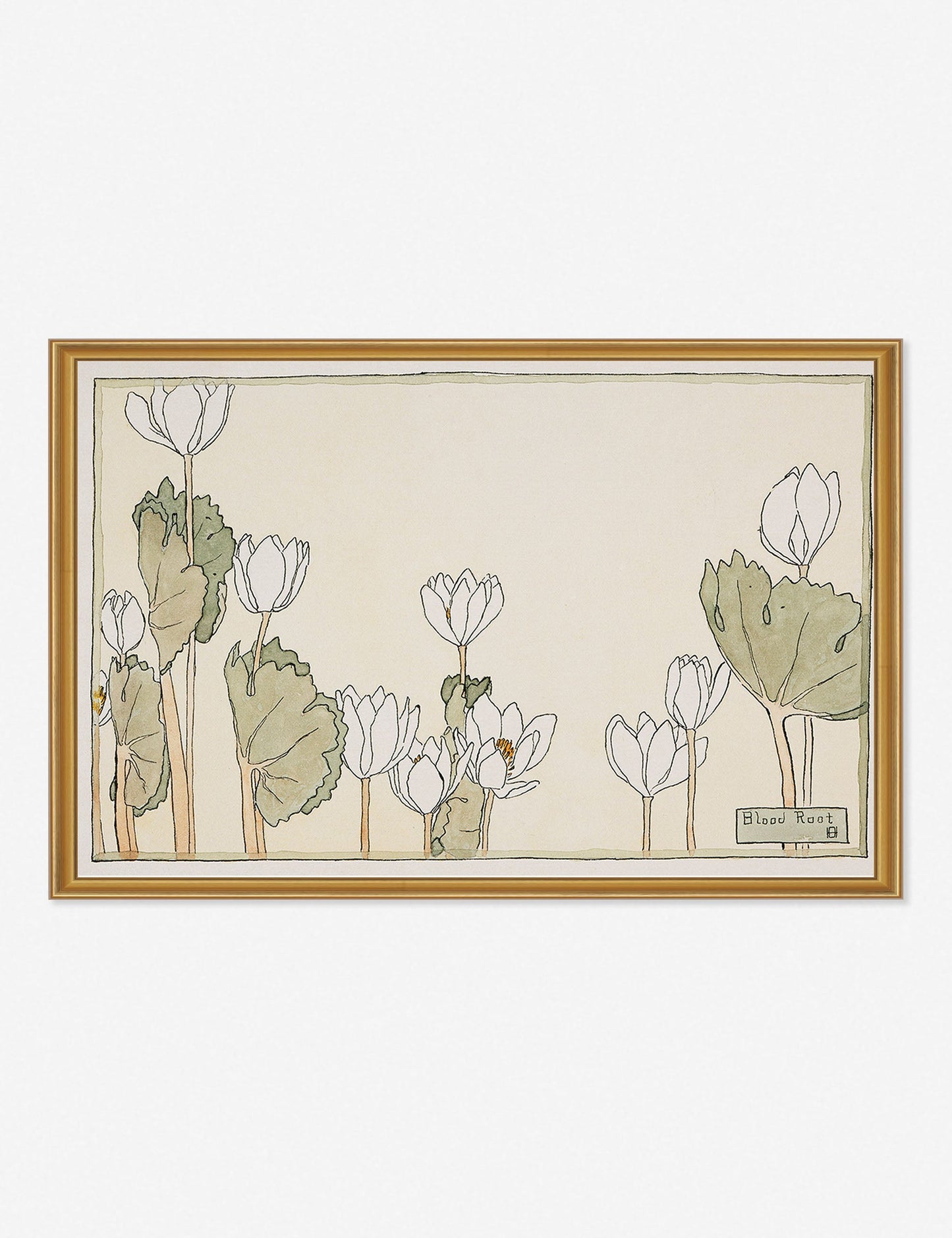 Blood Root Print by Hannah Borger Overbeck