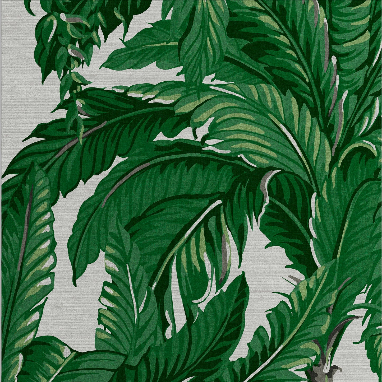 Daintree Palm Wallpaper