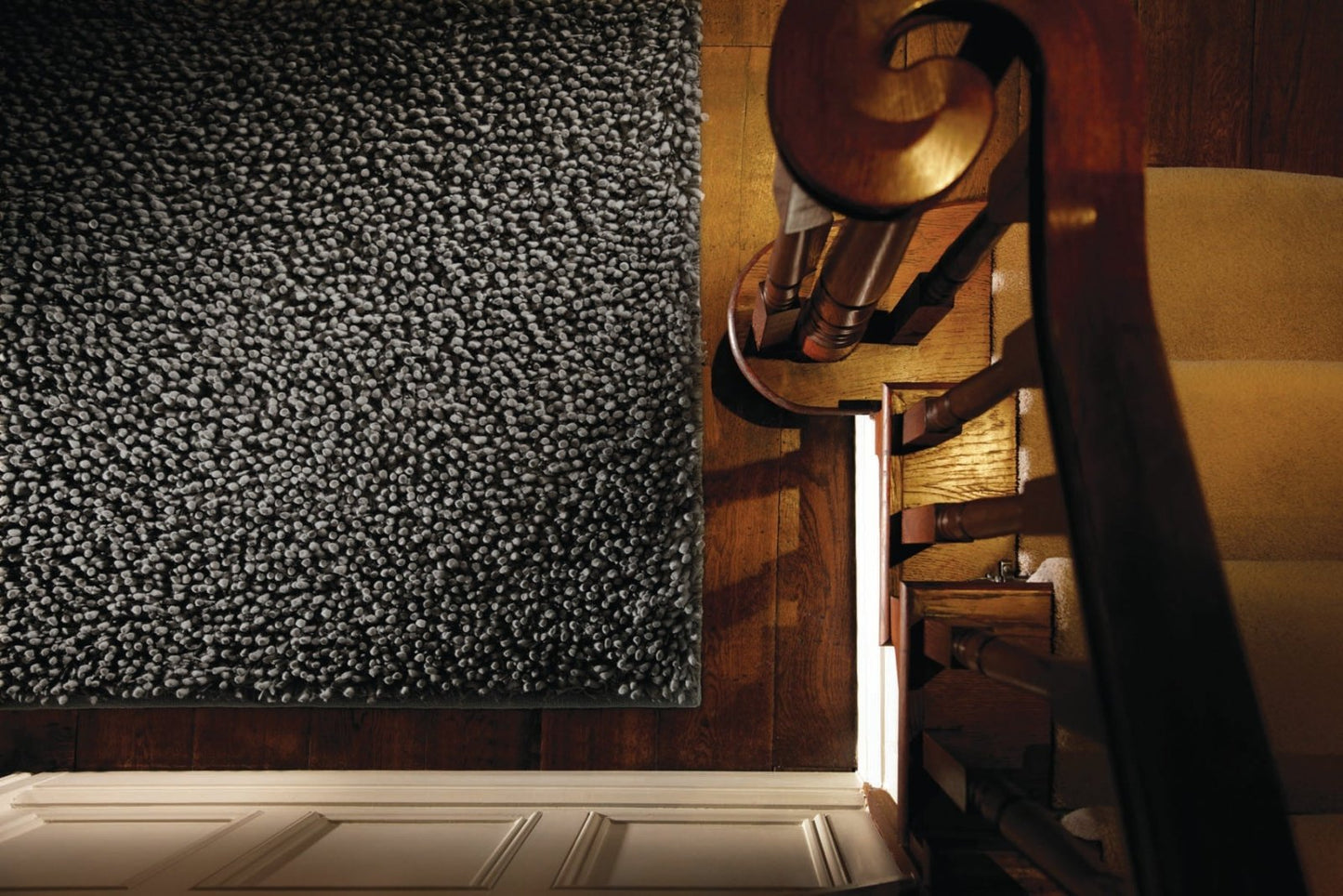 Rug Guru Maine Fossil Rug