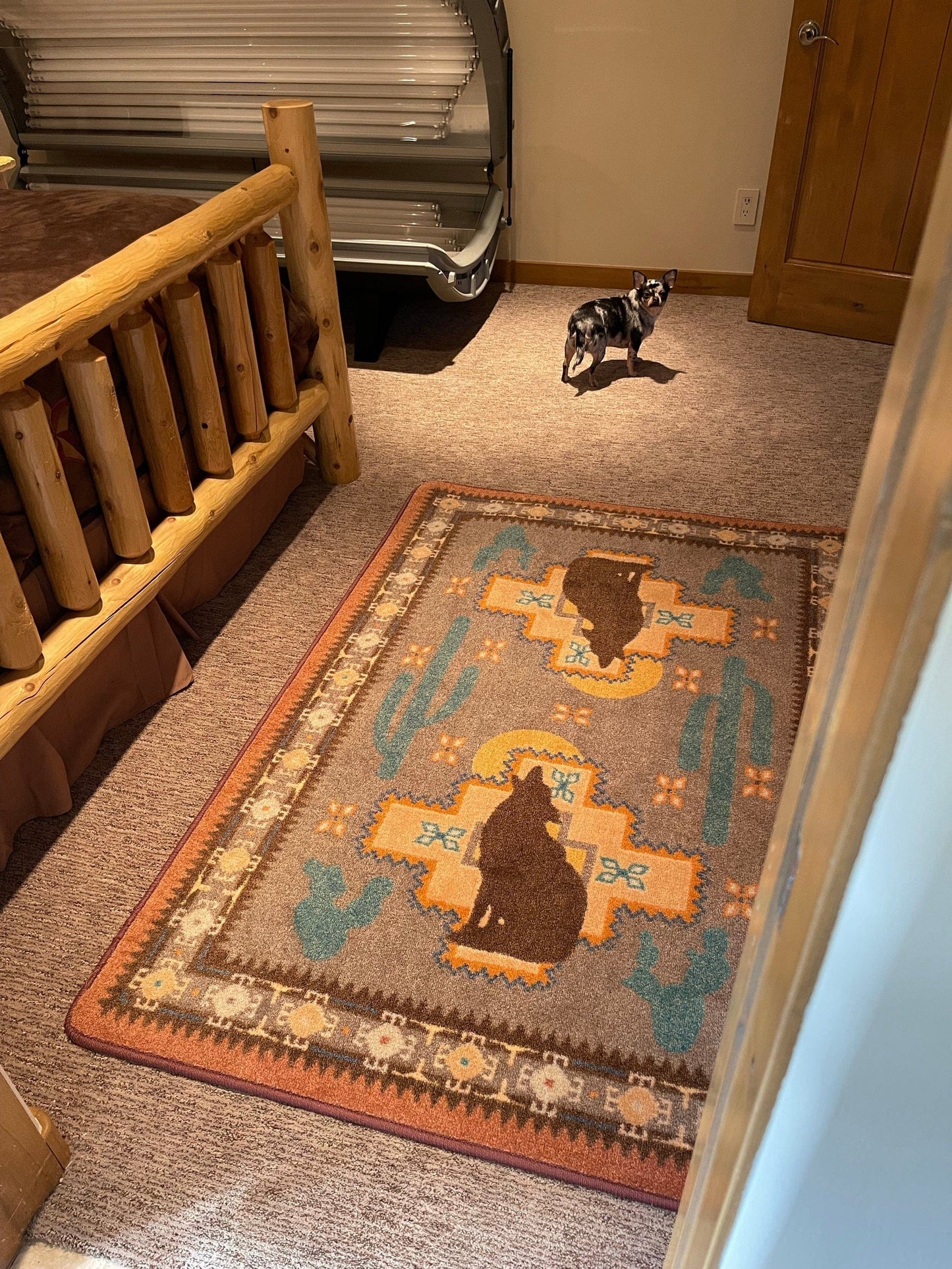 Southwest cactus coyote area RUG