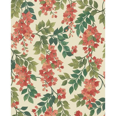 Cole & Son Bougainvillea