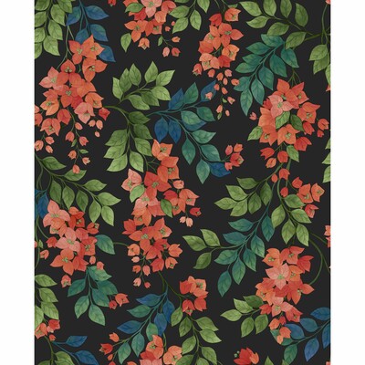 Cole & Son Bougainvillea