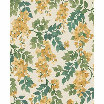 Cole & Son Bougainvillea