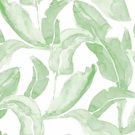Banana Palms Green Wallpaper by Victoria Larson for Cailini Coastal