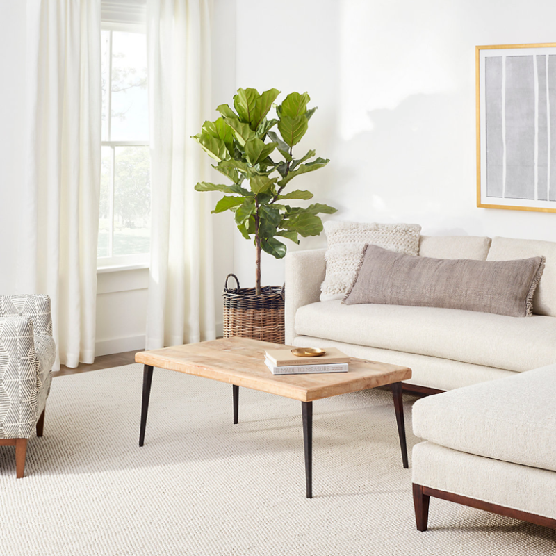 Hope Town Indoor/Outdoor Rug