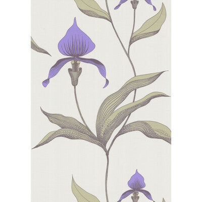 Cole & Son Orchid