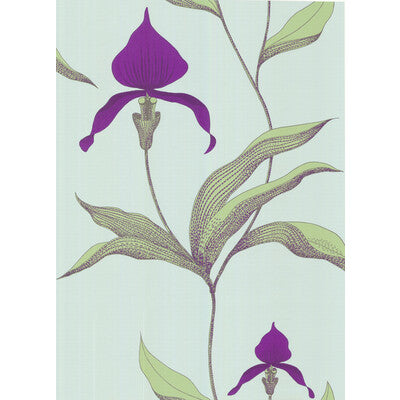 Cole & Son Orchid