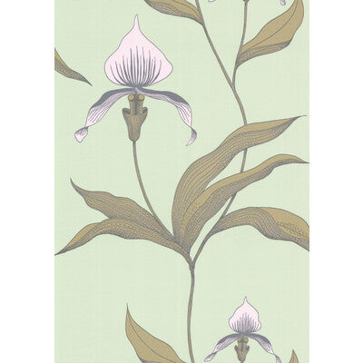 Cole & Son Orchid