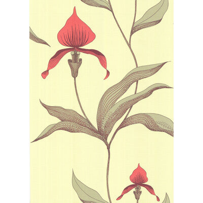 Cole & Son Orchid