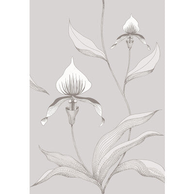 Cole & Son Orchid