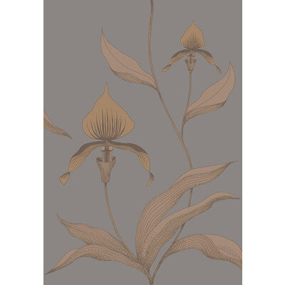 Cole & Son Orchid