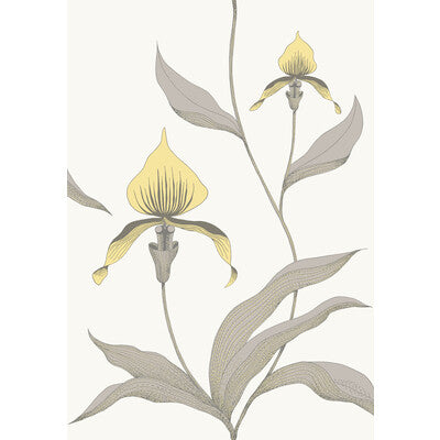 Cole & Son Orchid