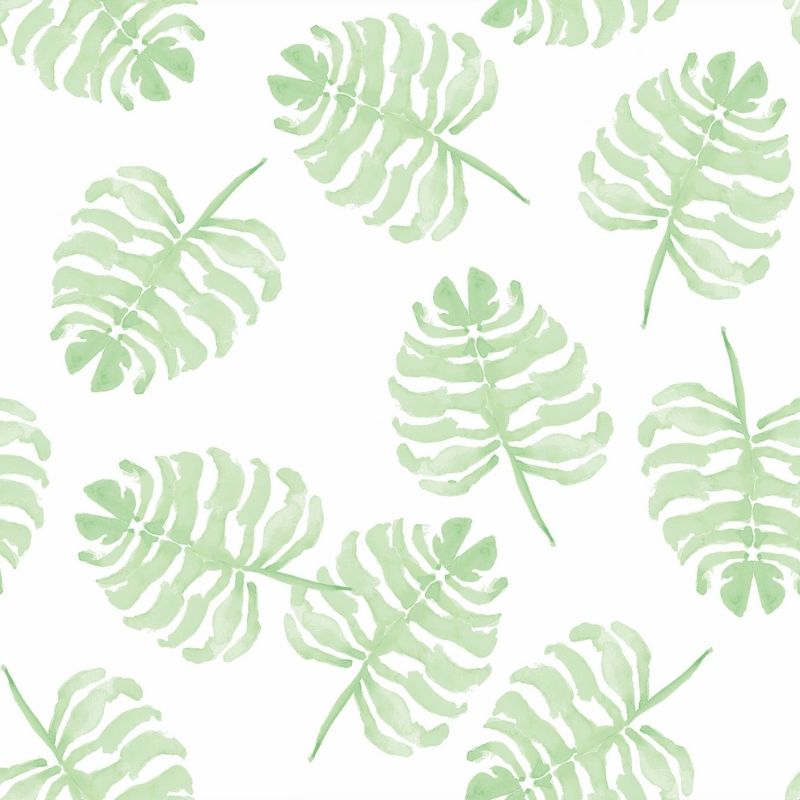 Monstera Green Wallpaper by Victoria Larson for Cailini Coastal