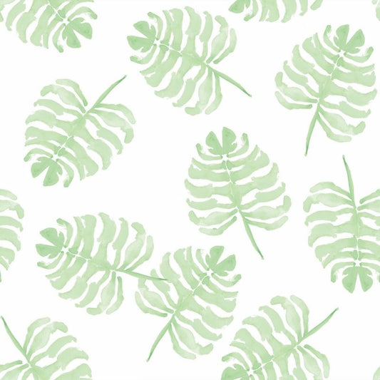 Monstera Green Wallpaper by Victoria Larson for Cailini Coastal