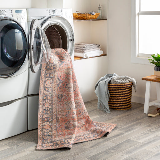 Collen Rug 2301 | Machine Washable