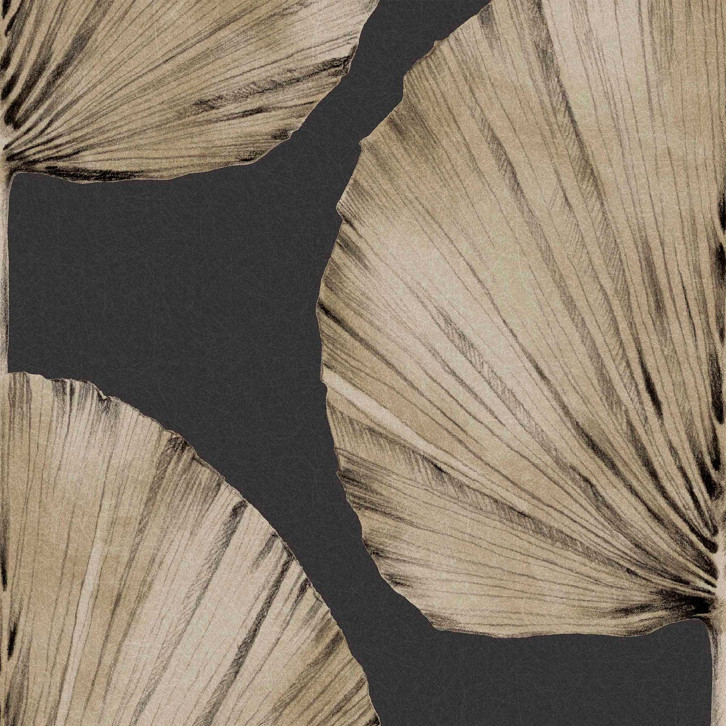 Palm Fan Wallpaper