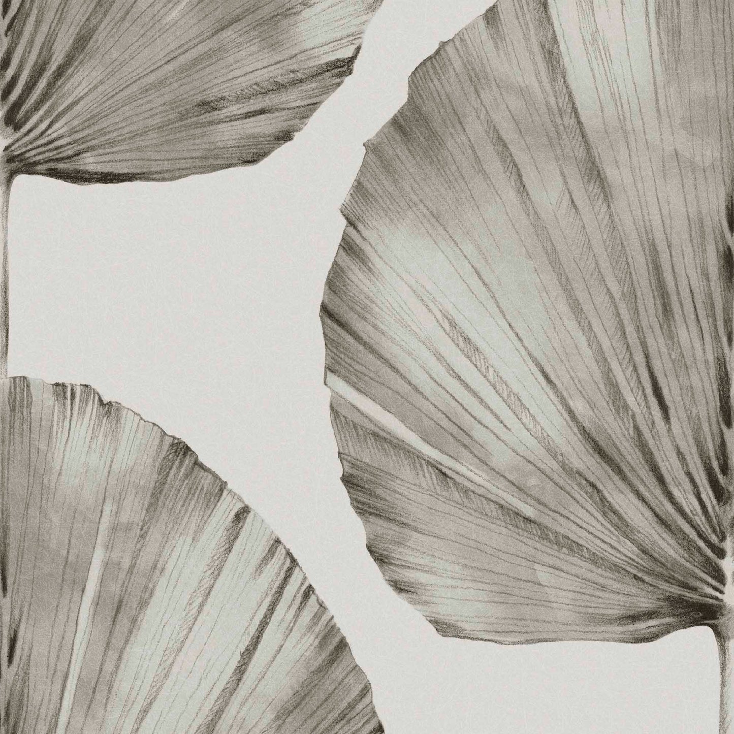 Palm Fan Wallpaper