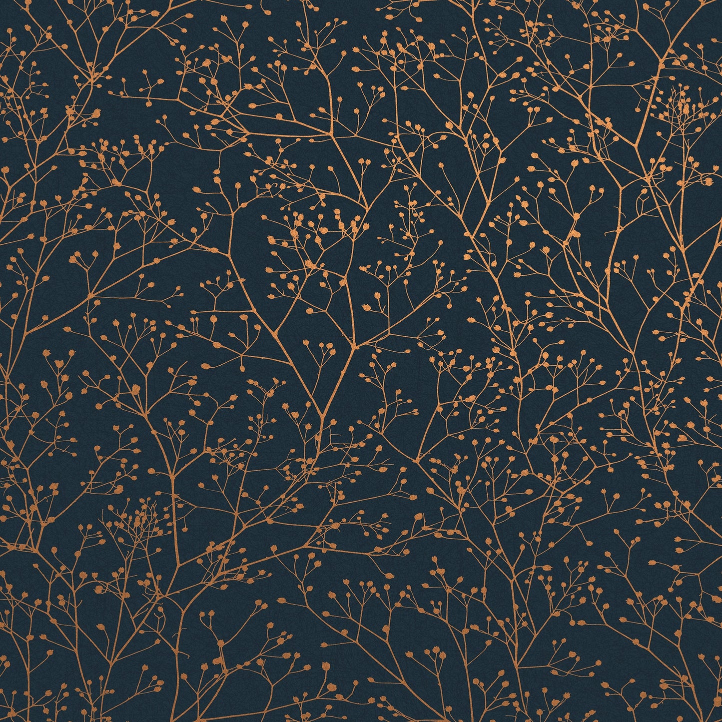 Gypsophila Wallpaper
