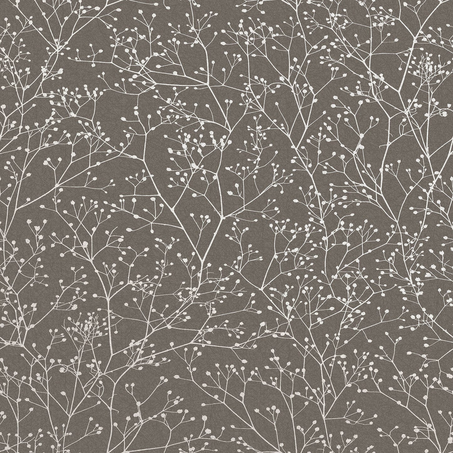 Gypsophila Wallpaper