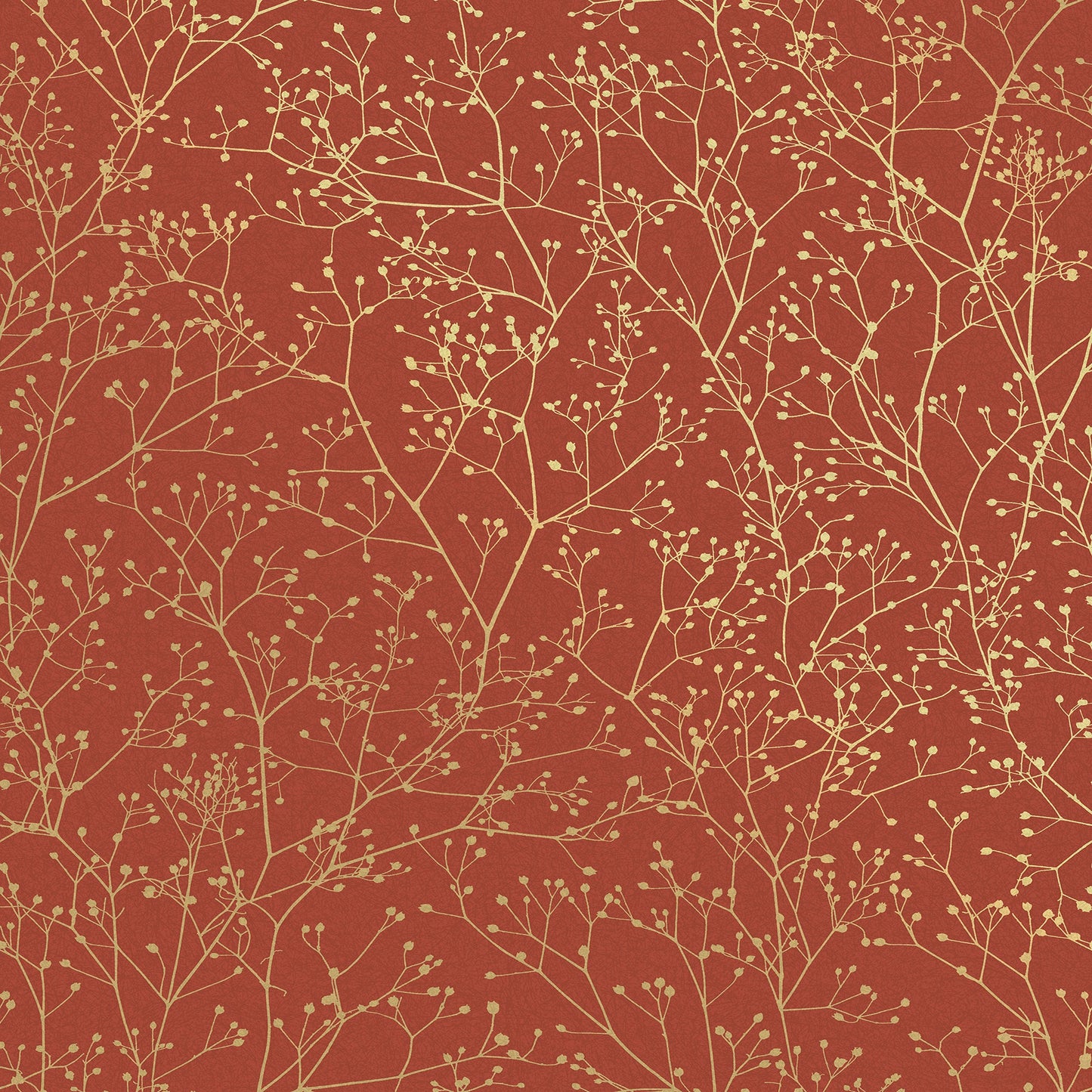 Gypsophila Wallpaper
