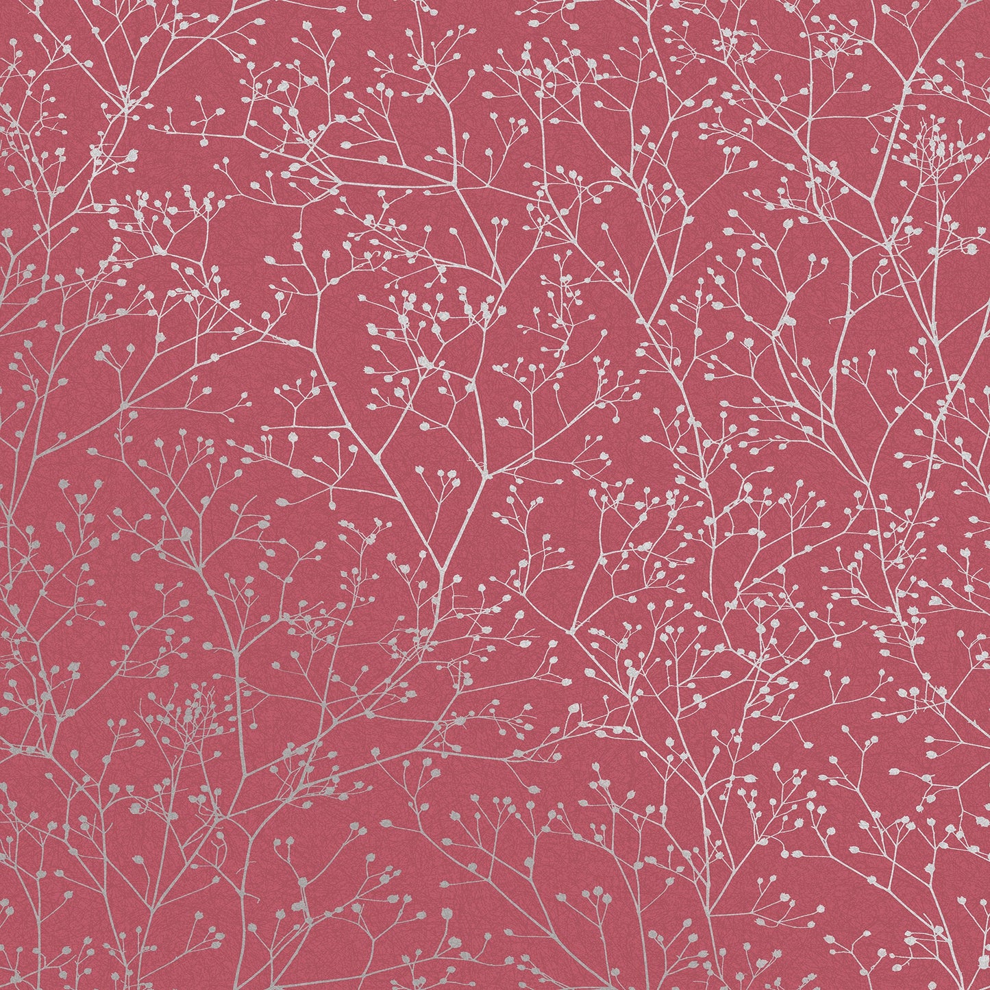Gypsophila Wallpaper