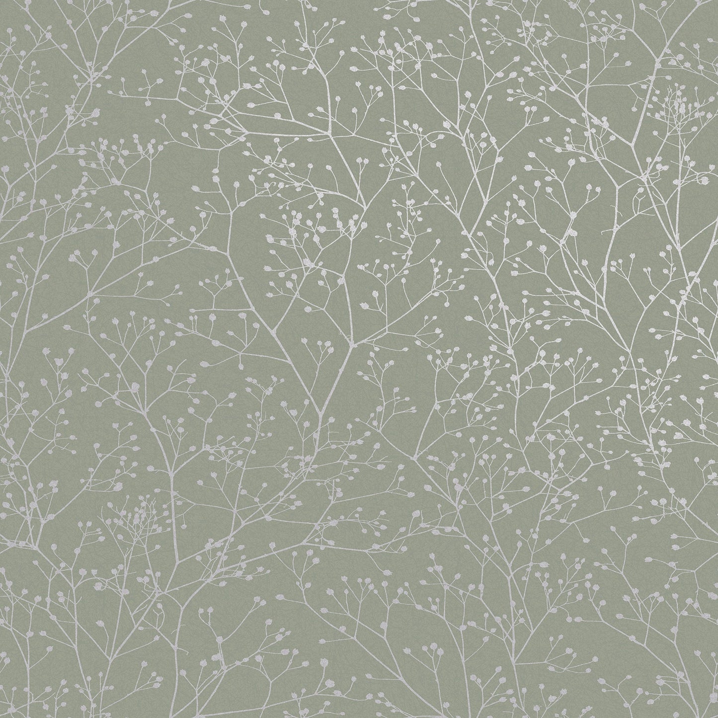 Gypsophila Wallpaper