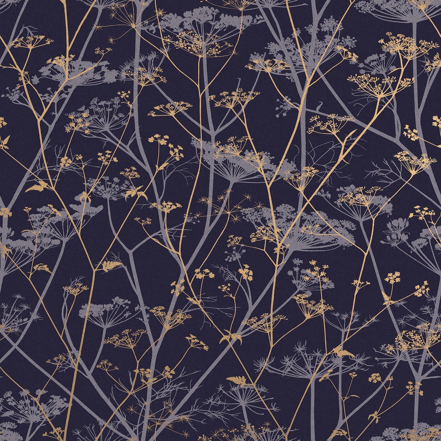 Wild Chervil Wallpaper
