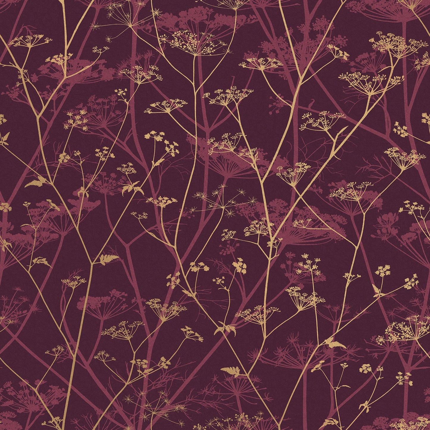 Wild Chervil Wallpaper