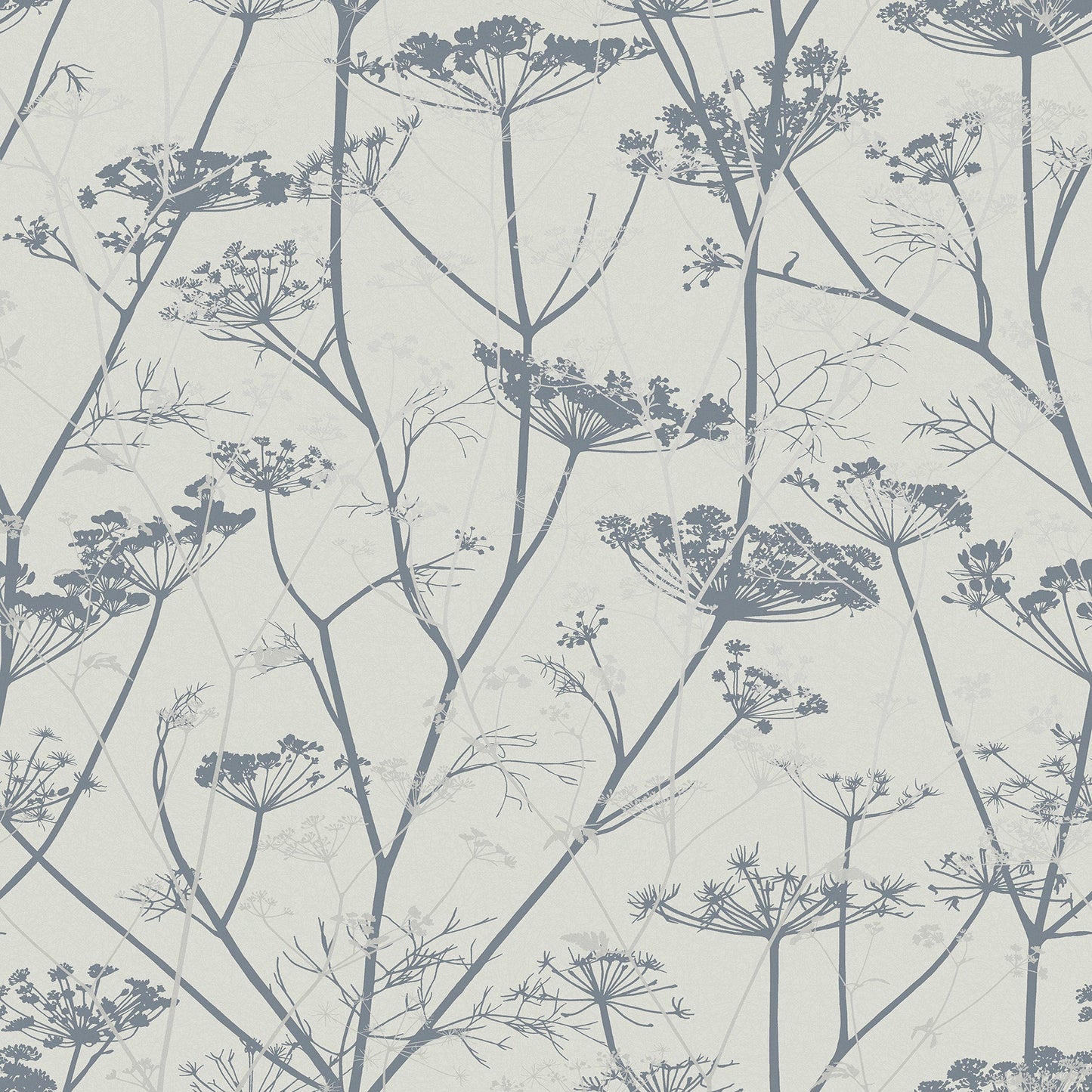 Wild Chervil Wallpaper