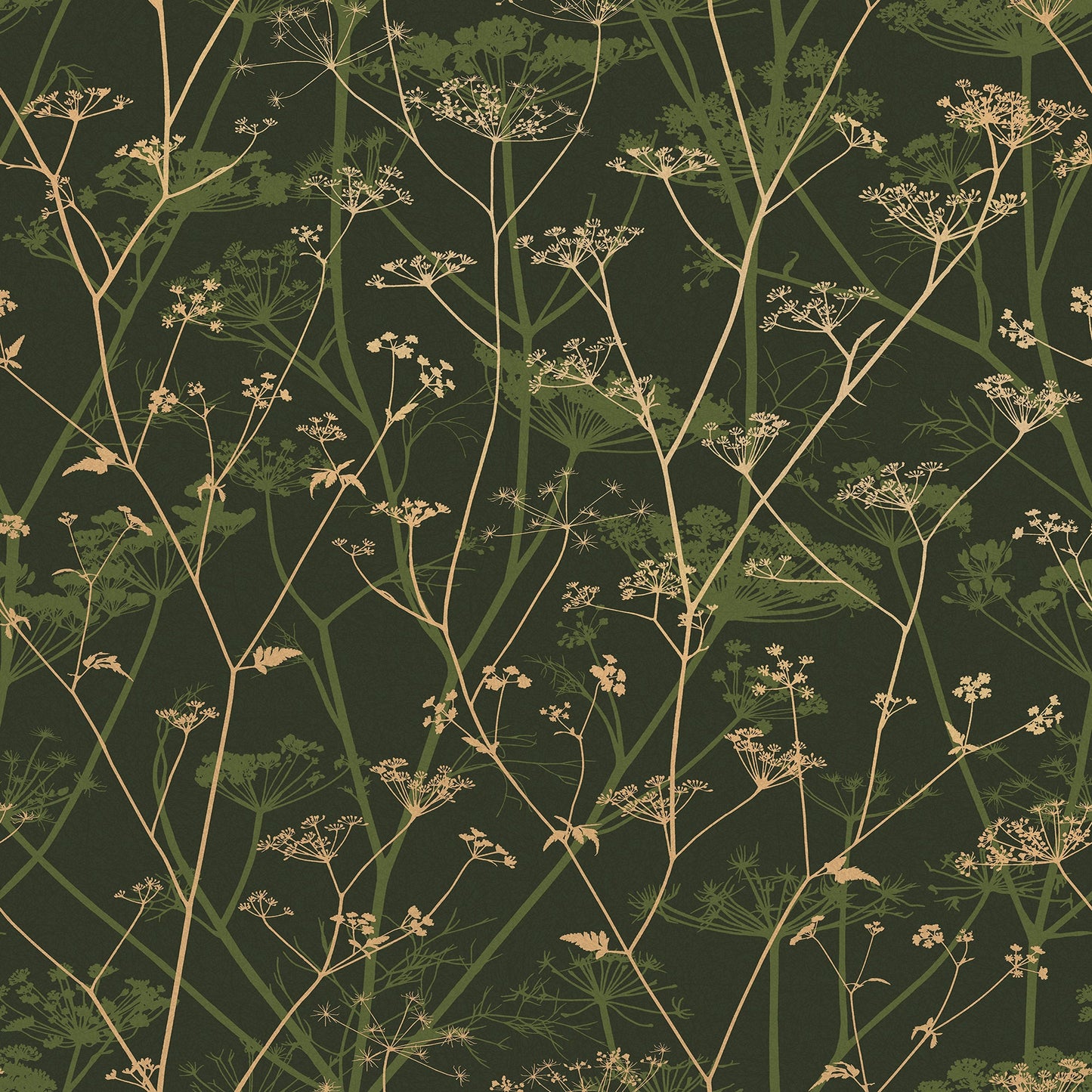 Wild Chervil Wallpaper