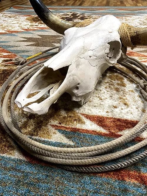 Nova cowhide Rancher area RUG