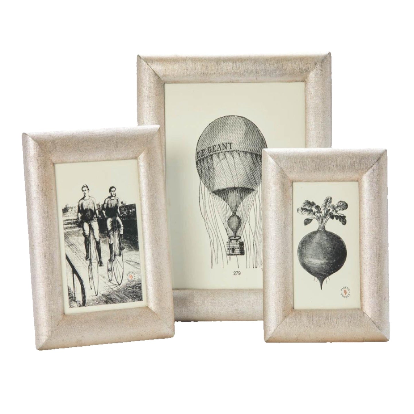 Pigeon & Poodle Cardiff Metallic Luster Frame in Two Different Colors - Picture Frames - The Well Appointed House
