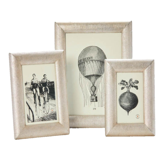 Pigeon & Poodle Cardiff Metallic Luster Frame in Two Different Colors - Picture Frames - The Well Appointed House