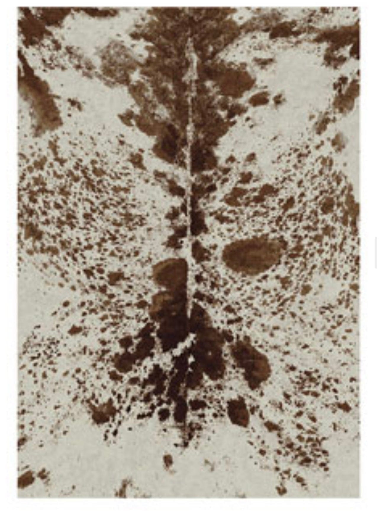Pioneer Longhorn area RUG