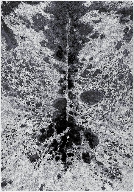 Pioneer Longhorn black & white area RUG