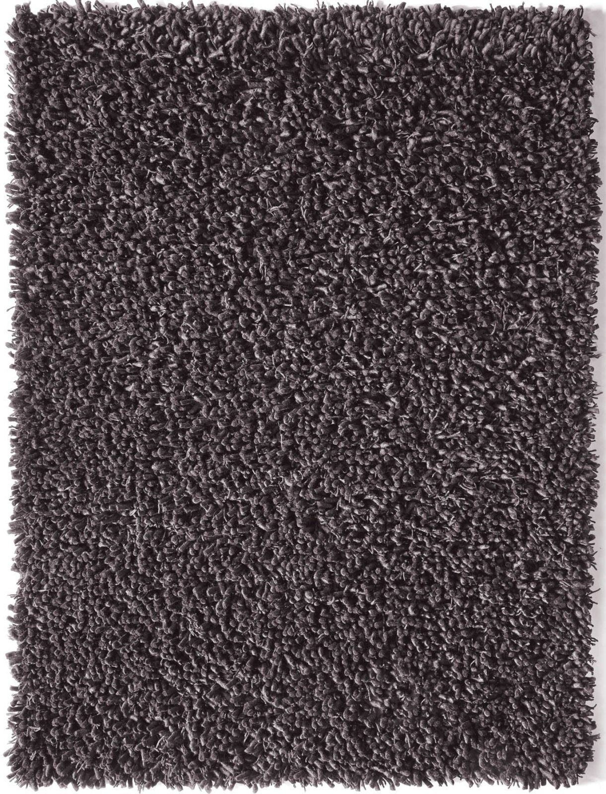 Rug Guru Maine Fossil Rug