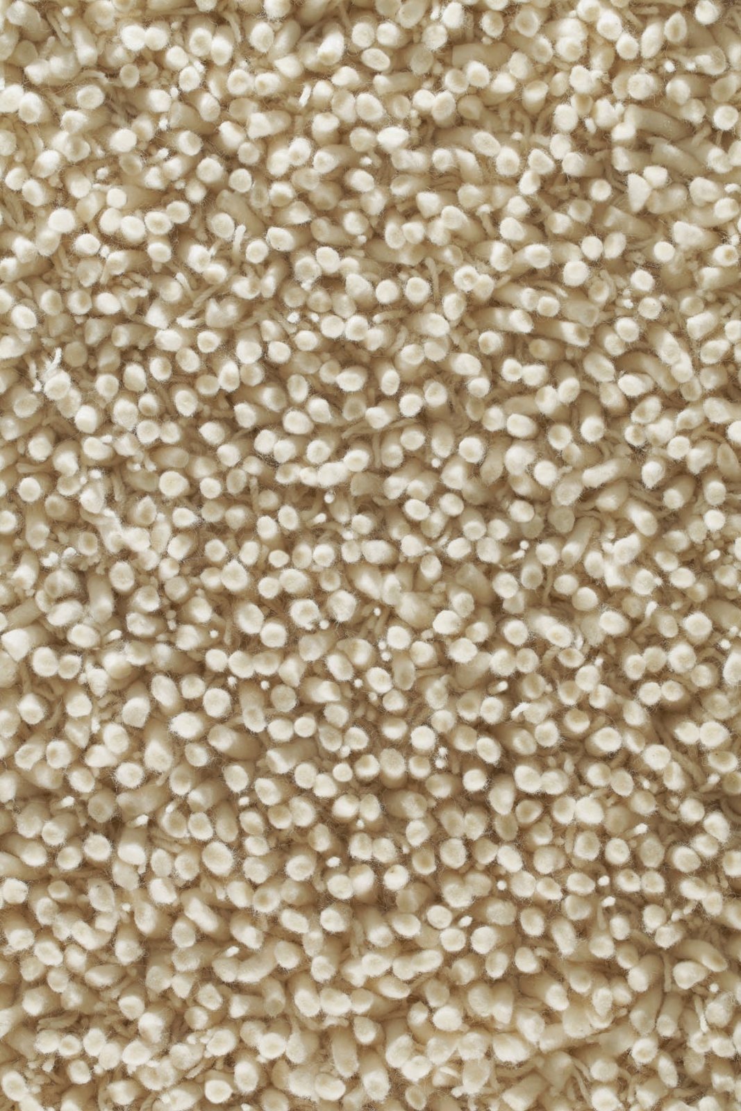 Rug Guru Maine Ivory Rug