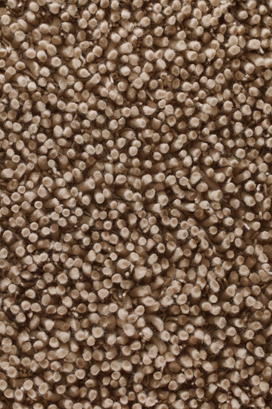 Rug Guru Maine Oyster Rug