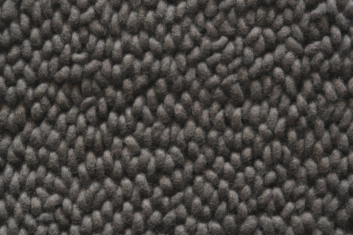 Rug Guru Union Fossil Rug