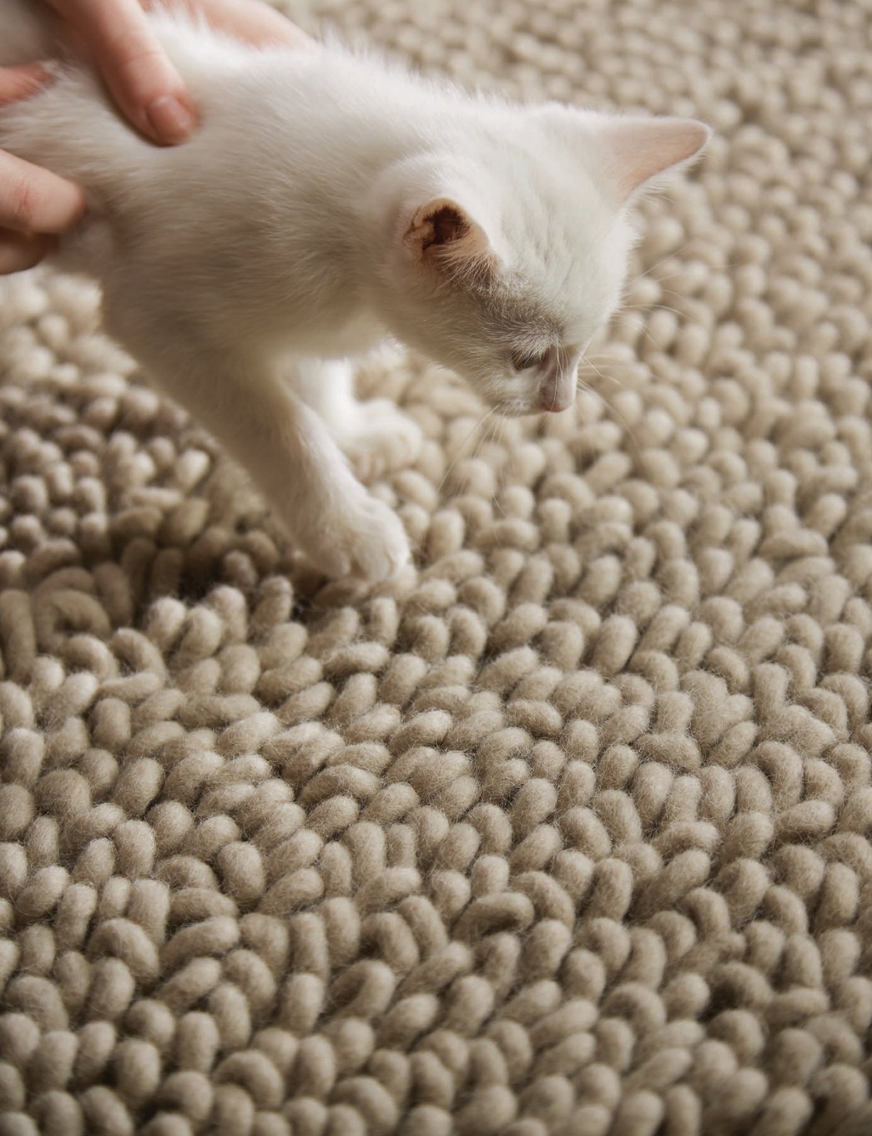 Rug Guru Union Oyster Rug