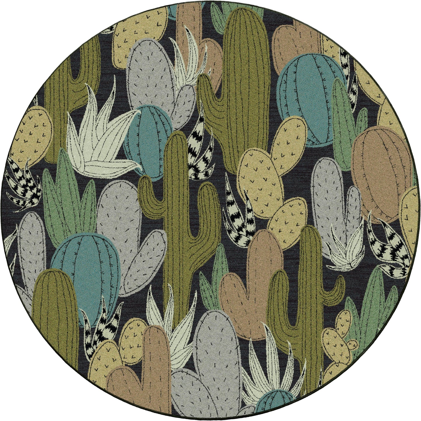 Saguaro dusk area RUG