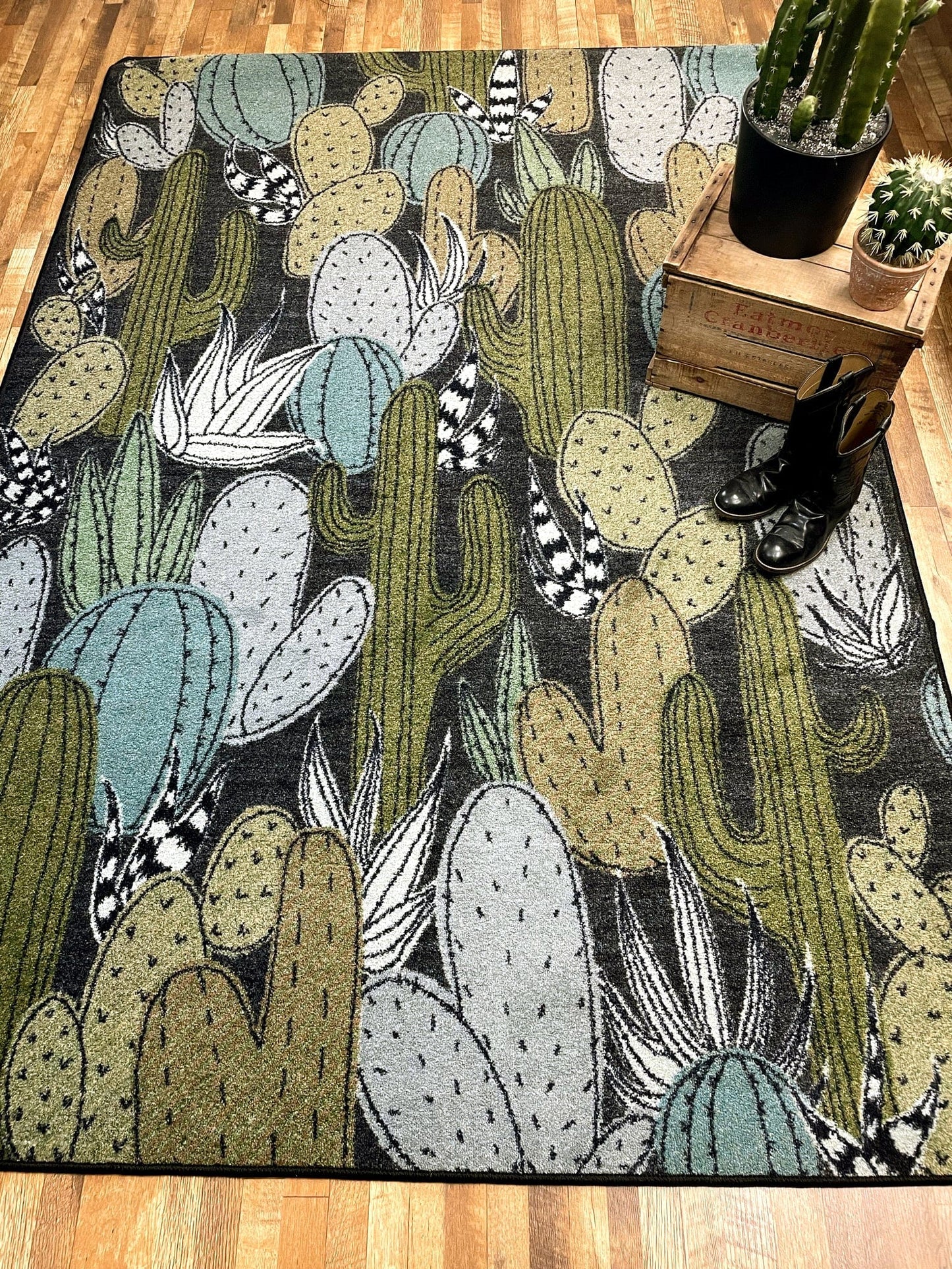 Saguaro dusk area RUG