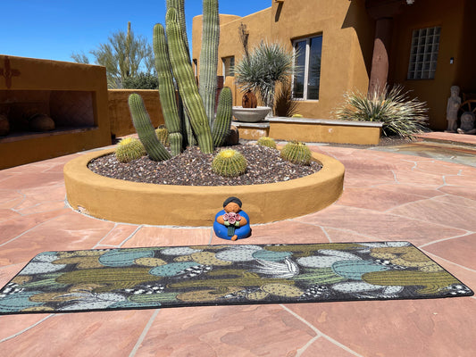 Saguaro dusk area RUG