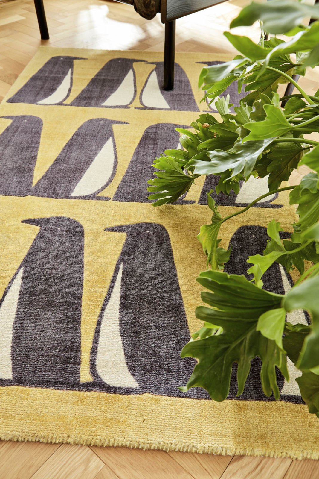 Scion Pedro Dandelion 023406 Rug