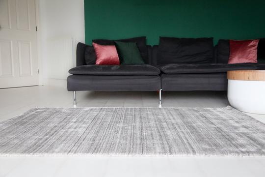 Skyler Nickel Rug