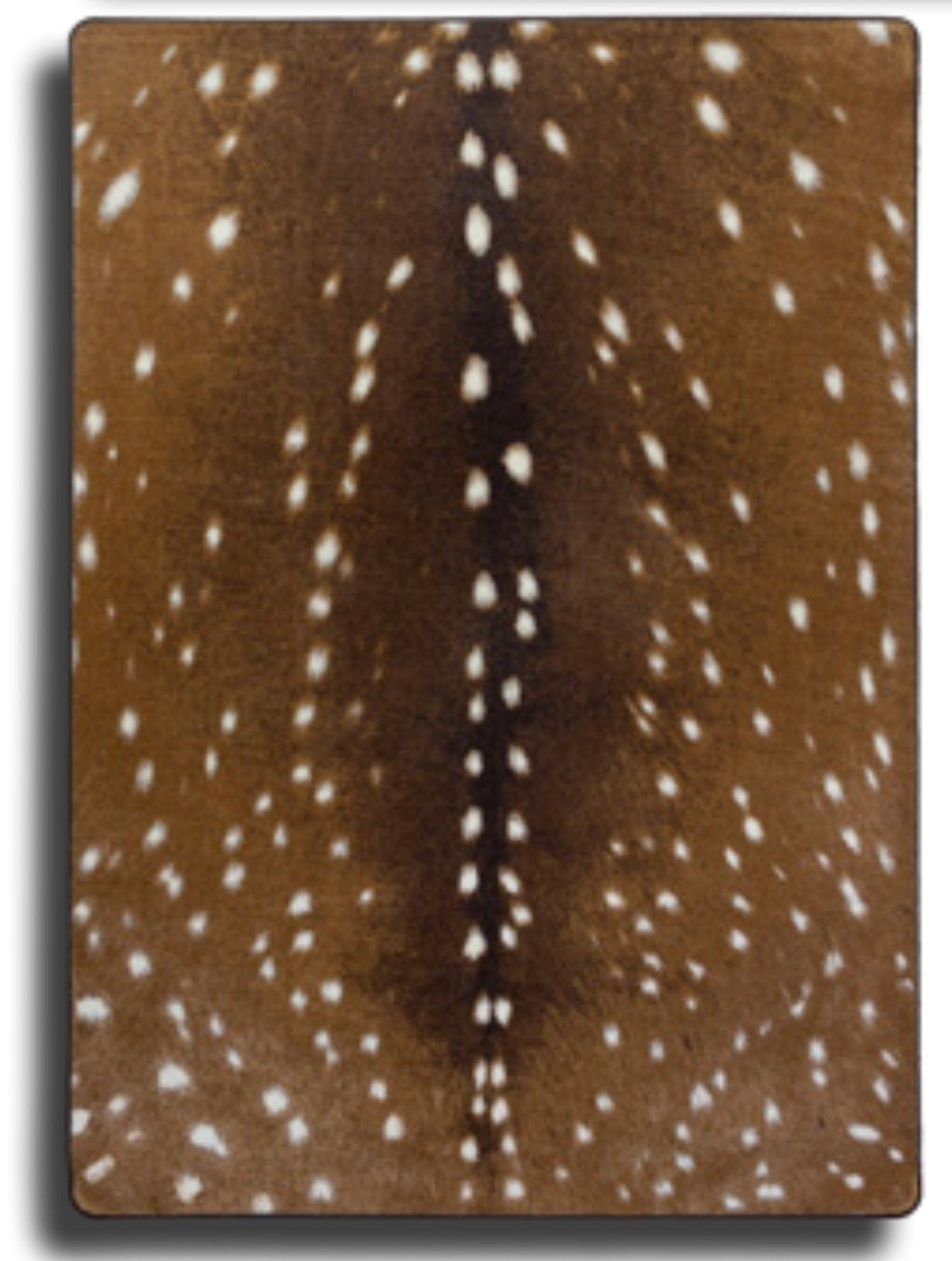 Spotted hide sienna area RUG